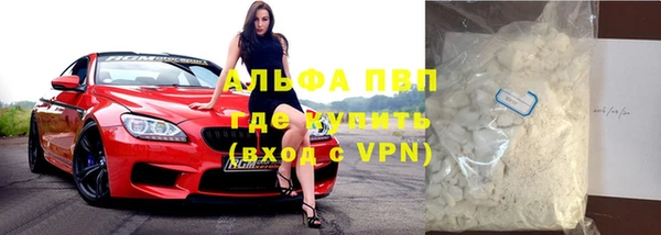 индика Вяземский