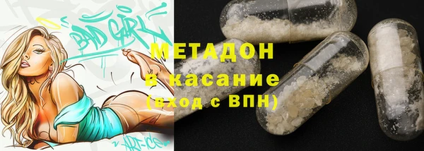 индика Вяземский