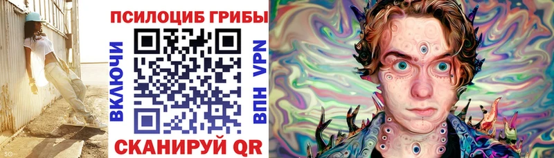 Купить где  Коммунар  Псилоцибиновые грибы прущие грибы 